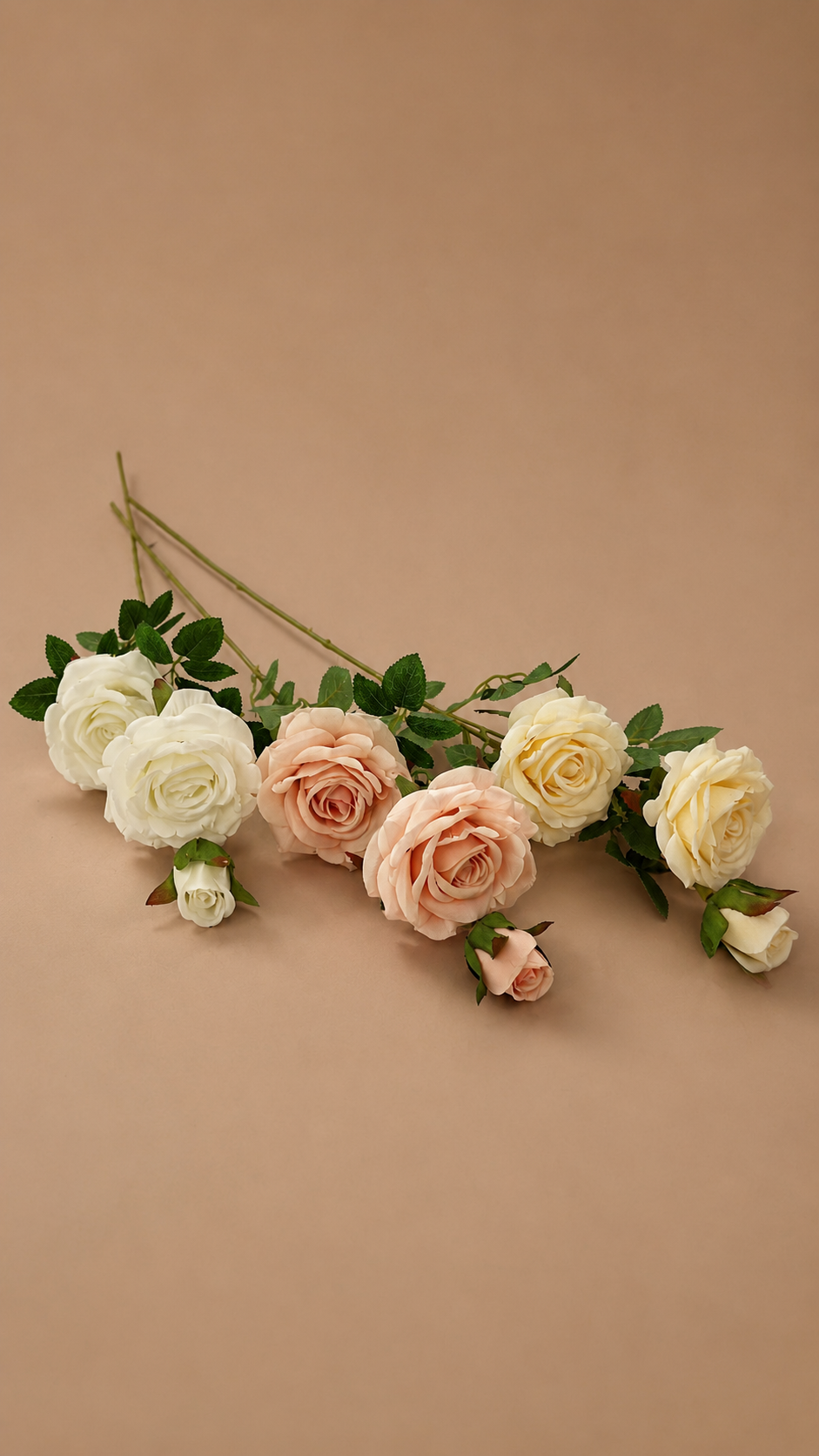 شاخه رز
